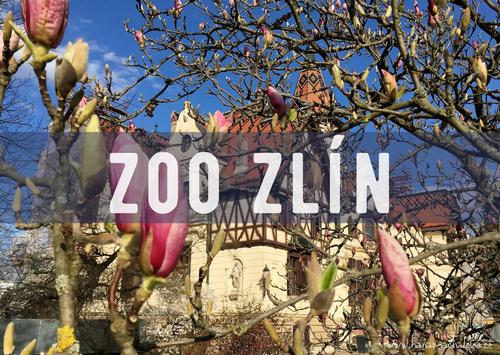 ZOO Zlín druhá nejnavštěvovanější v ČR