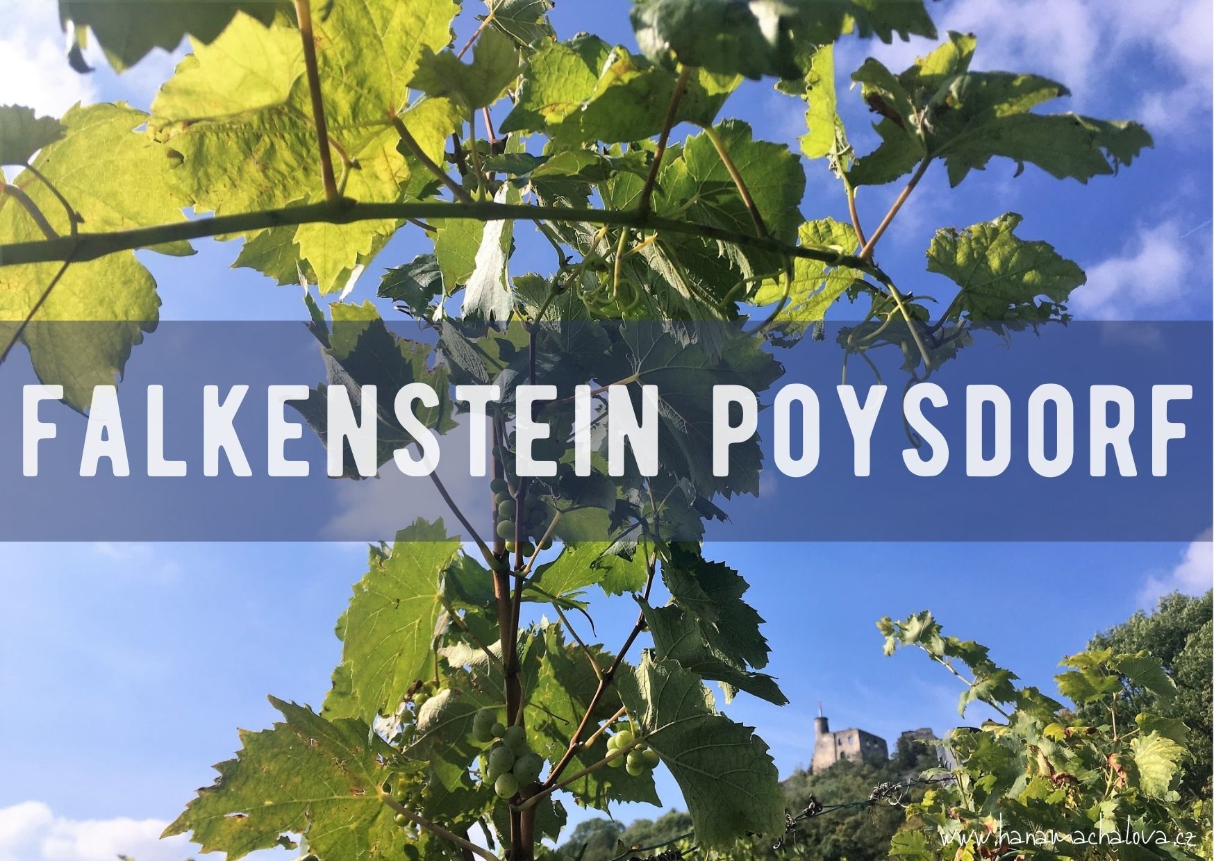 Vinařské uličky Rakouska - Falkenstein a Poysdorf