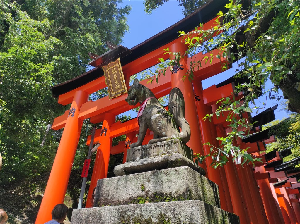 12. - 25. 5. Japonsko - země vycházejícího slunce jaro